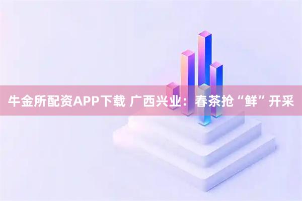 牛金所配资APP下载 广西兴业：春茶抢“鲜”开采