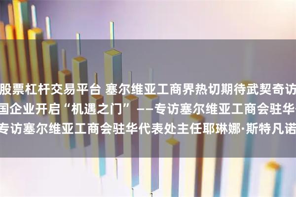 股票杠杆交易平台 塞尔维亚工商界热切期待武契奇访华:元首会晤将为两国企业开启“机遇之门” ——专访塞尔维亚工商会驻华代表处主任耶琳娜·斯特凡诺维奇